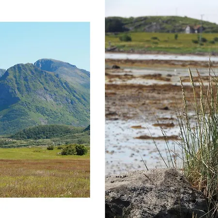 Lofoten Seaside Nature Retreat 펜션 *